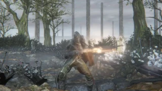 Bloodborne all weapon transformation