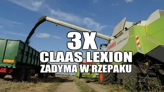 Żniwa 2020 - 3x Claas Lexion i zadyma w rzepaku