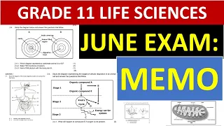 MEMO GRADE 11: 2023 JUNE EXAMS: LIFE SCIENCES GRADE 11 MEMO  [THUNDEREDUC]  BY: B.SAIDI