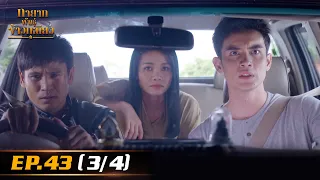 ทายาทพันธ์ุข้าวเหนียว | EP.43 (3/4) | 19 เม.ย. 65 | one31