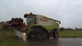 Claas Lexion  570 Terra Trac    Poszedł jak dzik w kukurydzę !