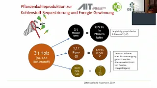 Pflanzenkohle – Funktionsweise und Auswirkungen auf den Boden und auf den Nährstoffhaushalt