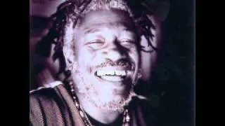 Horace Andy * Serious Times