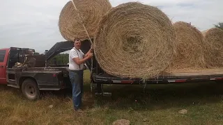 how to unload round hay bales