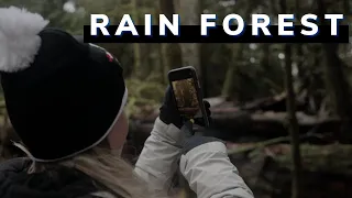 One Of The LAST Old Growth Forests In British Columbia!