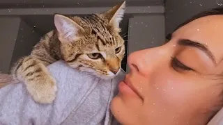 Cute Cat And Their Human BFF Do What??? - Cats and Humans Are Best Friends