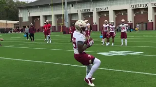 Day 1: Sights and sounds from FSU first spring practice of 2019