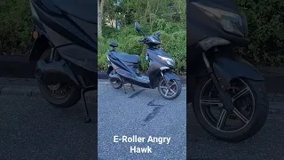E-Roller Angry Hawk, Tag 3, Elektroroller Futura, 80 km/h, 100 km