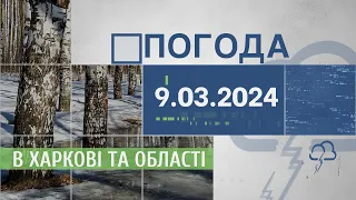 Прогноз погоди в Харкові та Харківській області на 9 березня