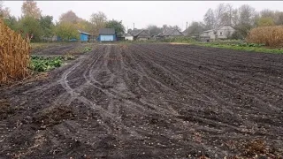 СУСІДКА ПУСТИЛА ПО КОПАТИ НА ГОРОДІ▪️ДВІ ГОДИНИ КОПУ НА СУСІДСЬКОМУ ГОРОДІ ▪️КОП НА ГОРОДІ▪️КОП 2023