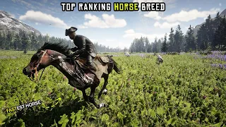 Top Ranking Every Horse Breed In Red Dead Redemption 2