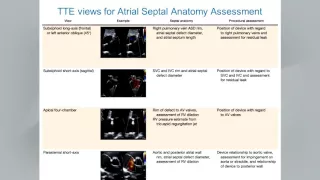 Guidelines for the Echocardiographic Assessment of Atrial Septal Defect & Patent Foramen Ovale