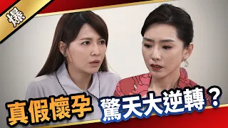 《八點檔搶先爆》愛的榮耀 EP144 真假懷孕  驚天大逆轉？