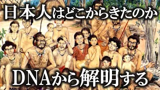 【総集編 】日本人のルーツ！古代祖先はどこから来たのか！？【ゆっくり解説 】