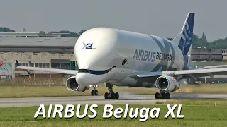 Airbus Beluga XL Landing Hamburg Finkenwerder Airport, Germany.