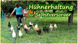 Hühnerhaltung für Selbstversorger - Wie viele Hühner brauche ich um mich selbst zu versorgen?