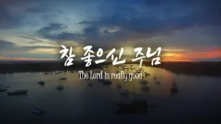 '참 좋으신 주님(김기영曲)' - 이혜정 목사 찬양드림, The Lord is really good