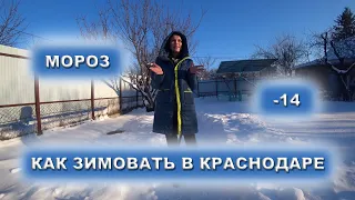 Как зимуем в Краснодаре / 3 месяца как переехали с севера в Краснодар и живем в частном доме