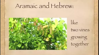 What is Biblical Aramaic?