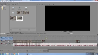 Why all the Video is black/invisible in Vegas Pro (Solo)