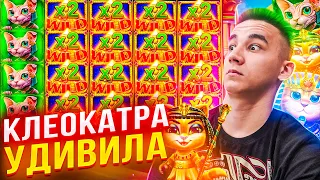 КЛЕОКАТРА УДИВИЛА ЛОВИМ MAXWIN CLEOCATRA ALL IN ЗАНОСЫ НЕДЕЛИ!