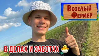 Вывод утят, гусят, цыплят 🐣 Важные новости на Ферме! Выращивание бройлеров.Перепела.Жизнь в деревне