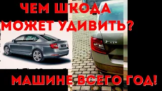 Шкода Октавия 2019 года. Короткий тест-драйв.