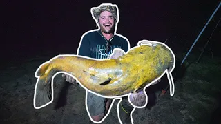 RIVER FISHING for MONSTER CATFISH at NIGHT!!! (Catching Record-Breaking Flathead!)