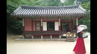 Travelling Korea The Beautiful  - Dining, Sightseeing, Transit, Cheap Travel, Lodging and More!