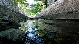 Gently Flowing Stream, Soothing , And Relaxing, Most Satisfying. Meditation Sounds For Your Mind