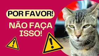 21 Coisas Que Você NÃO Deve Fazer Com Seu Gato!