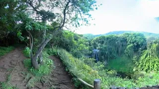 Road to Hana 16