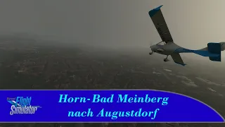 Von Horn-Bad Meinberg nach Augustdorf - Turbulentes Wetter - Lets Play German - MSFS2020