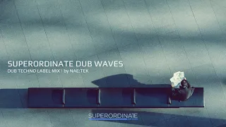 Superordinate Dub Waves | 2021 Dub Techno Label Mix By Nae:Tek