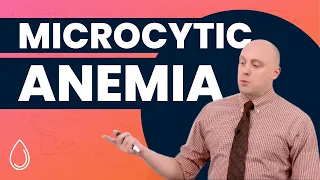 Microcytic Anemia (Sample Lesson) | Preclinical | Hematology-Oncology | @OnlineMedEdCom