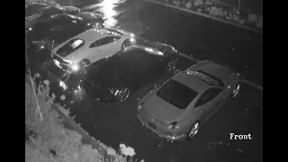 Brazen Thieves Steal Two Lamborghinis From Dealership