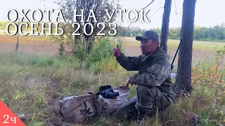 Трудовая охота на уток в Якутии 2023 / Күһүҥҥү кус 2023