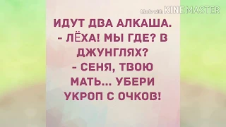 - Выходите за него замуж. Анекдот дня!