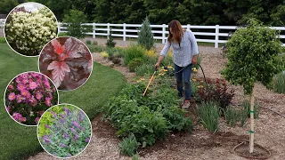 Planting in Full Sun: Anemones, Ninebarks, Lilac & a Butterfly Bush! 💚🌿💚 // Garden Answer