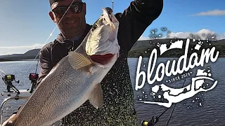 How to Catch 12 Kabeljou in One Day - Mastering Live Bait Fishing: