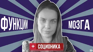 Функции мозга в Соционике | Творческая и болевая функция | Соционика