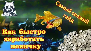 Как быстро заработать новичку в Русской Рыбалке 4