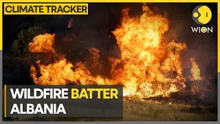 Albania struggles to control forest fire | WION Climate Tracker