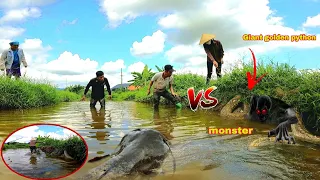 Brave Hunter Faces Giant Monster Rescuing Young Girl Attacked by Golden Python | King of Reptiles