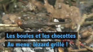 Les boules et les chocottes: lézard grillé au menu !