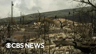 "We got away just in time": Lahaina restaurateur describes escape from Maui wildfire