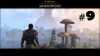 Morrowind Part 9 The Haunted Grounds - The Elder Scrolls Online | Red Guard Warden