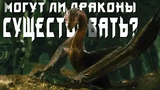 ДРАКОНЫ С НАУЧНОЙ ТОЧКИ ЗРЕНИЯ. Альтернативная эволюция драконов