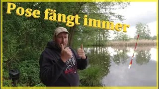 Allroundangeln mit Pose auf Raubfisch und Friedfisch, einfach nur Angeln :-)