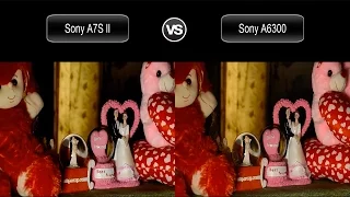Sony A7S II vs Sony A6300 Video Test